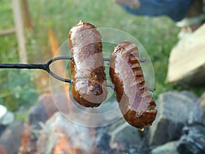 Sausages grilled