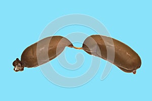 Sausages isolated on a white background