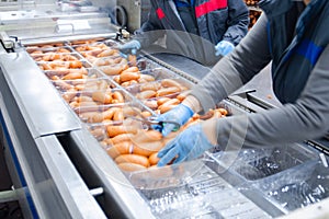 Sausages. Packing line of sausage. Industrial manufacture of sausage products