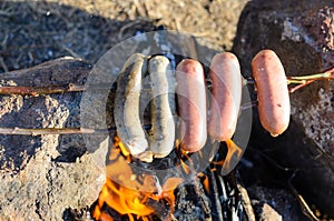 Sausages and Weiners on Stick Cooking over Fire photo