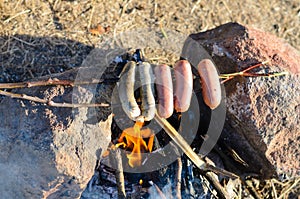 Sausages and Weiners on Stick Cooking over Fire photo