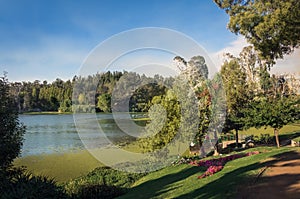 Sausalito Lagoon Park - Vina del Mar, Chile