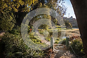 Sausalito Lagoon Park - Vina del Mar, Chile