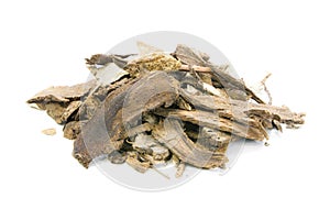 Saussurea lappa Clarke