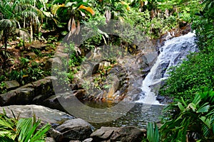 Sauzier waterfall, Mahe Island, Seychelles.