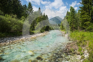 Sava Dolinka river, Slovenia