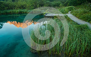 Sava spring, Zelenci, Slovenia