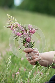 Savage flowers bouquet in hand of woman in a meadow