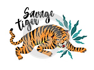 Savage Tiger. Vector illustration of tiger with tropical leaves. Trendy design for card, poster, tshirt.