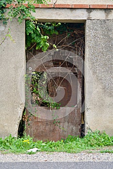 Savaged wooden door