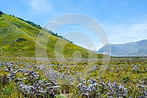 Savana Field, Bromo Tengger National Park, East Java, Indonesia.