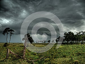 Savana in Masai Mara with cloudy sky