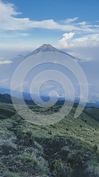 Savana at Sumbing Mountain