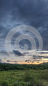 Savana sunset sky Cloud Grass