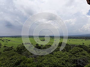 Savana in taman nasional baluran