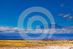 Savana and view of Kilimanjaro mountain, Kenya