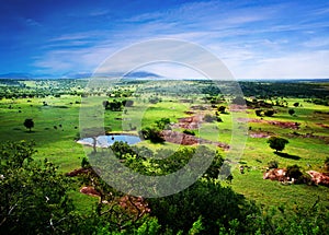 Savanna in bloom, in Tanzania, Africa panorama photo