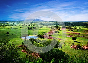 Savanna in bloom, in Tanzania, Africa panorama