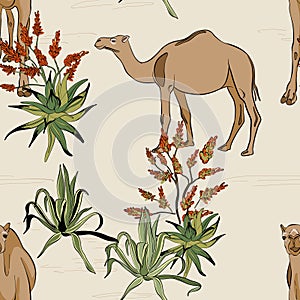 Savanna camel in desert pattern. Cartoon wild animal illustration, seamless design safari plants, cactus, african landscape print