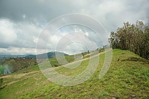 The savanna is dominated by verdant grass in the rainy season