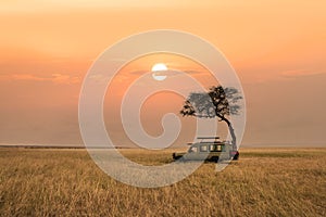 Savanna grassland in africa during sunset with safari tourist travel car by tree