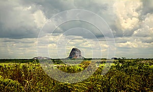 Savanna landscape in Bahia, Sertao, Brazil, South America