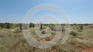 Savanna landscape in kenya