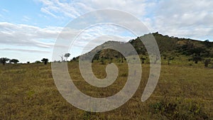 Savanna landscape in kenya