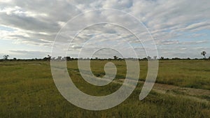 Savanna landscape in kenya