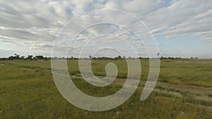 Savanna landscape in kenya