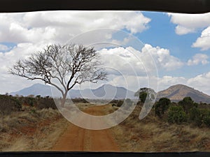 Savanna  landscape with montains and a tree