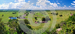 Savanna landscape in Serengeti, Tanzania, Africa