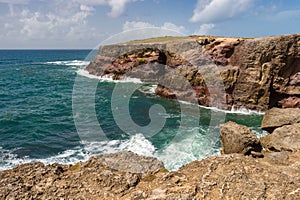 Savanna of Petrifications in Martinique