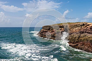 Savanna of Petrifications in Martinique