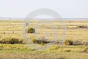 Savanna And Safari Car in Kenya