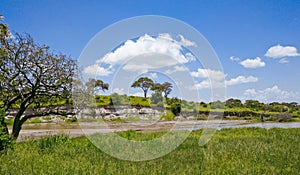 Savannah andscape with river in the Tarangire National Park, Manyara Region, Tanzania, East Africa