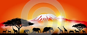 Savannah animals on the background of mount Kilimanjaro