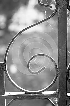 Savannah Architecture