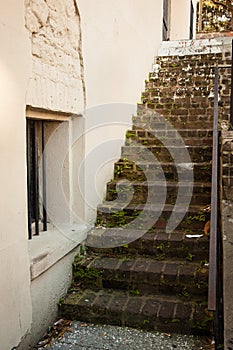 Savannah Architecture