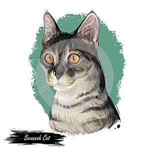 Savannah Cat hybrid cat breed, cross between serval and domestic cat. Digital art illustration of pussy kitten portrait, feline