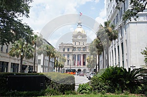 Savannah City Hall located on Bull Street, with palm trees on a sunny day