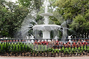 Savannah Georgia Forsutch park fountain in the spring