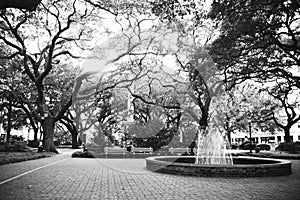 Savannah Georgia Historic Square in the Summer time