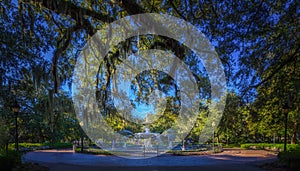 Savannah Georgia Oak Trees Park