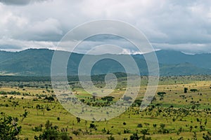 Savannah Grassland against a mountain background photo