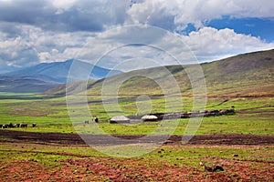 Savannah landscape in Tanzania, Africa