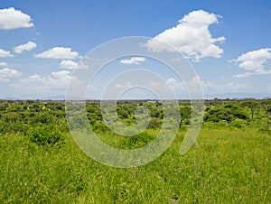 Savannah landscape in the Tarangire National Park, Manyara Region, Tanzania, East Africa