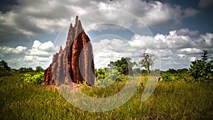 Savannah landscape with the termite mound, Ghana