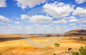 Savannah plains landscape in Kenya