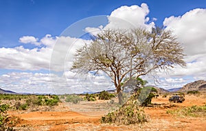 Savannah plains landscape in Kenya